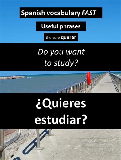 Do you want to study? / ¿Quieres...#spanishforbeginners #spanishvocabulary #spanishpronunciation