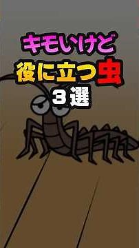 キモいけど役に立つ虫３選#雑学#デカボ#ビットスターアニメ