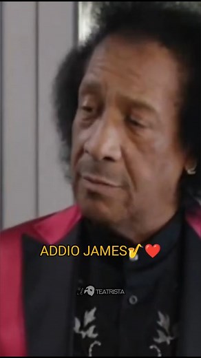 Aggia sunà🎷❤️ È morto James Senese, il padre del Neapolitan Sound, collaborate storico di Pino Daniele🩵 Tra i sassofonisti italiani più noti a livello mondiale, la sua musica spaziava tra jazz, rock, soul e funky. Un grande uomo, sassofonista, compositore, cantante e attore italiano! . . #jamessenese #jamessenesenapolicentrale #sassofonista #cantante #compositore #attore #italiano #neapolitansound #napoli #vincenzosalemme #pinodaniele | Raffaele Uliano