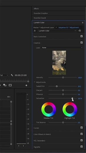 Premiere Pro Adjustment Layer Trick | Make Your Video Cinematic in 10 Seconds