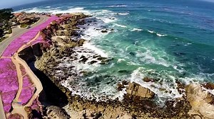 19K views · 832 reactions | Throwback Thursday! Enjoy this virtual escape from Pacific Grove Chamber and let the "purple carpet" carry you away  | See Monterey | Facebook