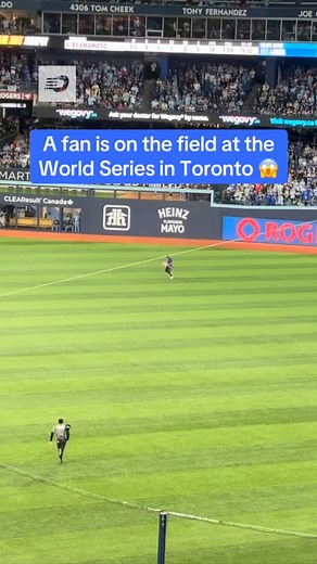 102K views · 124 reactions | A fan has made their way onto the field in Toronto 臘‍♂️ #bluejays #toronto #worldseries #mlb | Offside | Facebook