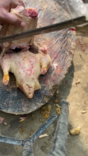 Duck meat cutting #shortsvideo