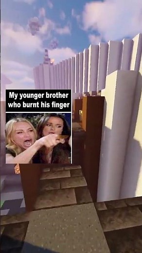SIBLING MEMES 115