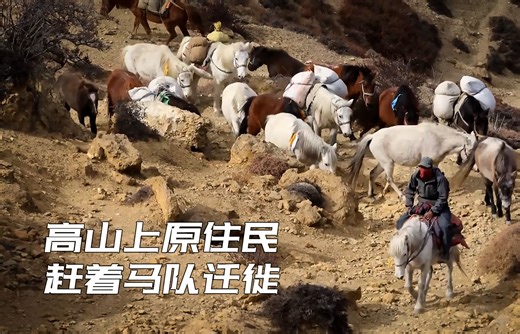 生活在海拔四千米的原住民，为躲避严冬，赶马队穿越悬崖峭壁迁徙