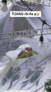 sao Thầy Bảo nay ngày đẹp hở Thầy ơiii🥺 | Thế Hải