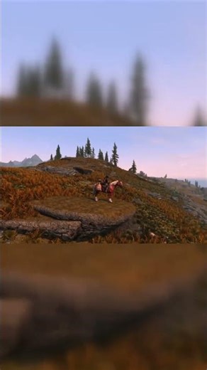 Skyrim Anniversary Edition - Tundra view