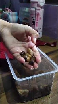 Colourful Stone At Home #diy #colourfulstones #rockpainting