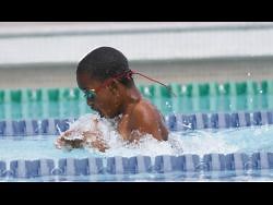 National coaches eager for return to the pool