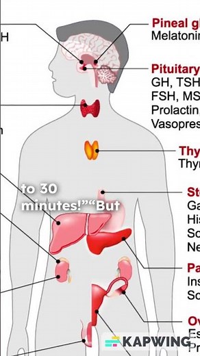 “Why Does Coffee Make You POOP? ☕💩 The Weird Science Explained!”
