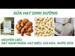 Sữa hạt dinh dưỡng hàng ngày