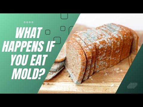 Accidentally Ate Mold? Here’s What Happens to Your Body!