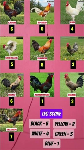 Part 2 Color Code March 10 #patukatips #conditioningtips #ytshorts