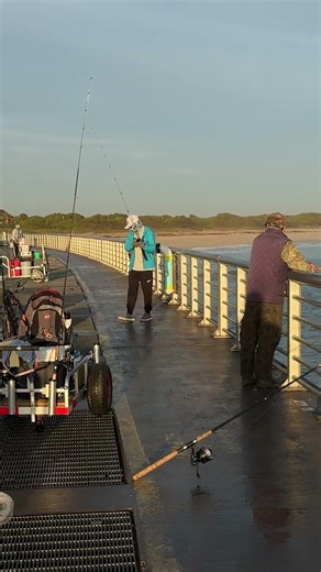 🚨 Flounder ALERT at Sebastian Inlet! (Big Ones!)