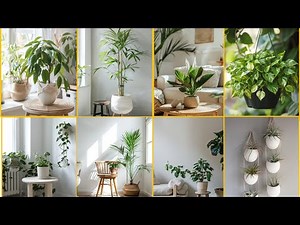 10 Fresh Boho Plants Decor Tips To Transform Your Space