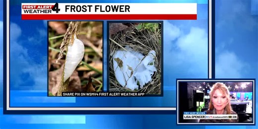 Why a frost flower occurs