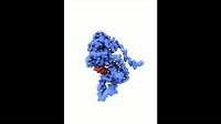 Picture perfect: Researchers gain clearest ever image of Ebola virus protein