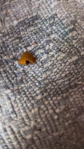 POOP NO WAA #FYP #FAMIPUS