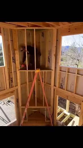 51K views · 518 reactions | Modern Home Construction | Perkins Builder Brothers | Facebook