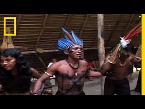 Could You Pass the Bullet Ant Test? | National Geographic - Video Explode