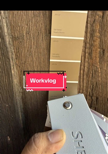 Professional Painters at Work: A Day in the Life