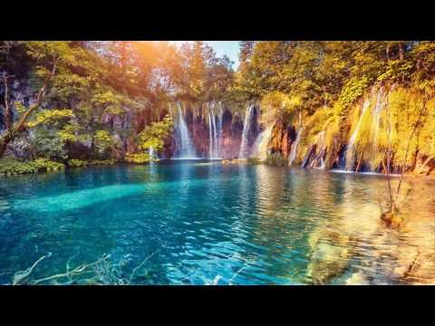 Música Instrumental de Fondo para Relajarse | Musica para Calmar la Mente y Eliminar el Estres