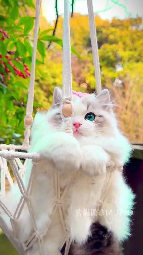 #ASMR #ASMRtist #ASMRcommunity #SleepSounds #Whispering #Tingles #Relaxation #ASMRtrigger #ASMRvideo #SatisfyingSounds | Cartoon funny comic