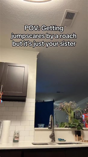 POV: getting jump scared by a cockroach #Meme #Funny #Comedy | Eren Lenox