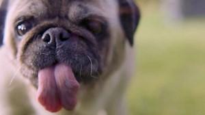 1.4M views · 266 reactions | Kiss allergy symptoms goodbye this spring with FLONASE SENSIMIST. | Flonase | Facebook