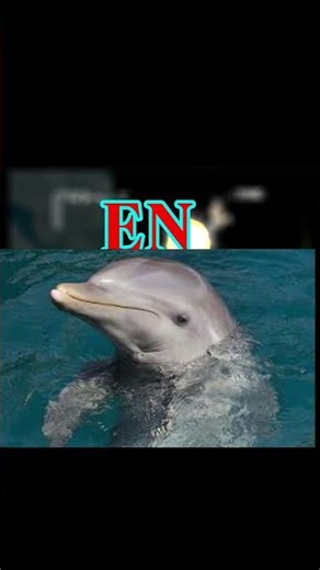 #aprende a descargar #smashbros Modificado para pc #dolphinemulator @HeySoyFausto