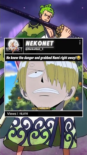 #onepiece #luffy #zoro