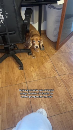Aquí esperando que mi mejor amiga termine de limpiar su cuarto