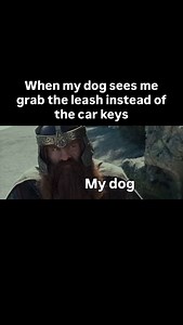 51K views · 2.3K reactions | To hogwarts! Or whatever Luke skywalker...