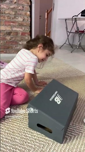 A cat got inside the box #ahsenasaf #ytdayibenionecikarnolur