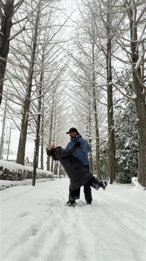 Experiencing Snowfall in Japan: A Mini Vlog