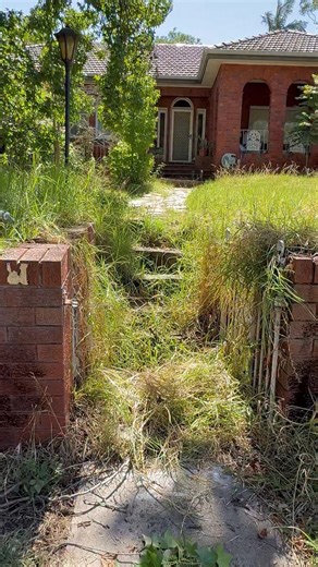 Getting the yard cleaned before the guests arrive for the New Years Eve party. #satisfying #newyear2026 | Nathans Lawns and Gardens