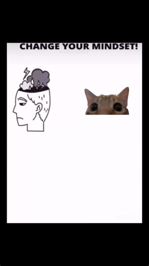 embanditoe on Instagram: "ᗢ KITTY ROLL!! ᗢ ᗢ ᗢ ✦ Go kitty go song/Pictures (YT/Pinterest) ⤷ Like༝Follow⁴Daily Content · · ─ ദ്ദി（• ˕ •マ.ᐟ ─ · · #reels #meme #cat #kitten #cats #share #fyp #memes #reel #relatable #bestfriend #memedaily #friends #fy #jokes #lowquality #tiktok #explore #youtube #gokittygo ᗢ"