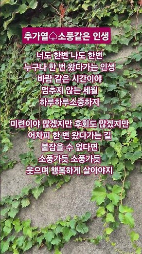#추가열 #소풍같은인생 #노래가사 #트로트 #노래