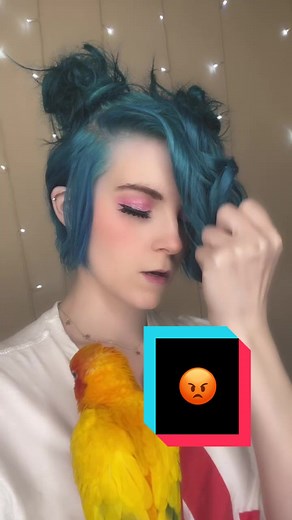 #greenscreen | greenscreen