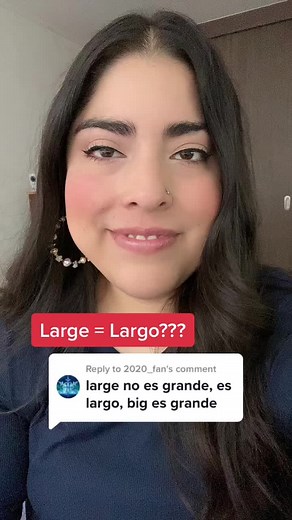 Understanding the Differences Between Large and Big in English