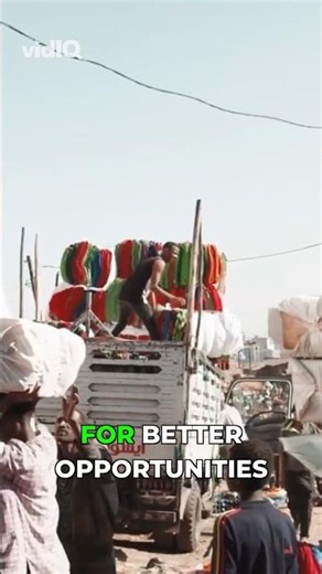 Shocking Decline: Youth in Kenya's Agriculture!