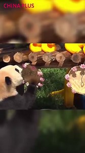 Beijing locals like to gather in the square between the Drum and Bell...