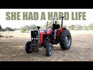 Neglected Massey Ferguson 231