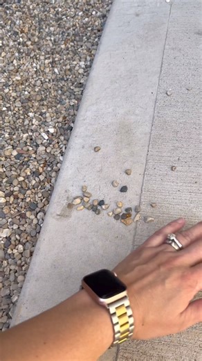 I used mulch glue to keep our pea gravel together. But how well did it last after 12 months? I show you how things look after a year of weather and regular use. More details in the comments 👇🏼 | DIY Playbook