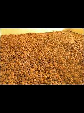 Welcome to Wachemo University