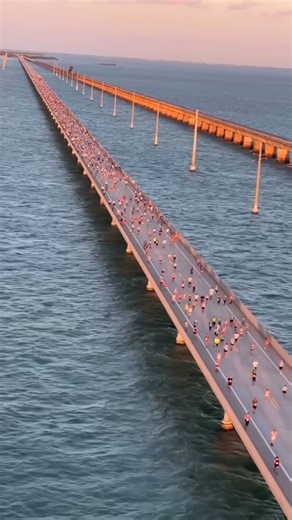 The 45th Annual 7 Mile Bridge Run is set for Saturday, April 11, 2026! 🏃🏼‍♂️ 1,500 runners will set off across the 7 Mile Bridge just before sunrise, surrounded by water on both sides and views that almost make you forget you’re running. The 2026 lottery is already closed, so the question is: did you get in? If you have a bib, consider yourself one of the lucky ones. Let us know in the comments if you’re running this year ⤵️ If the 7 Mile Bridge Run is on your bucket list, keep an eye on 7 Mil