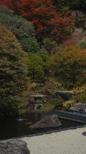 Vidéos de ∅ (@e.__.lio) avec Japanese Garden Music - Japanese Zen Music