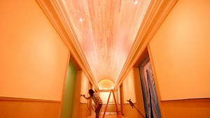 Renovations, new programming in motion at Norton Art Gallery