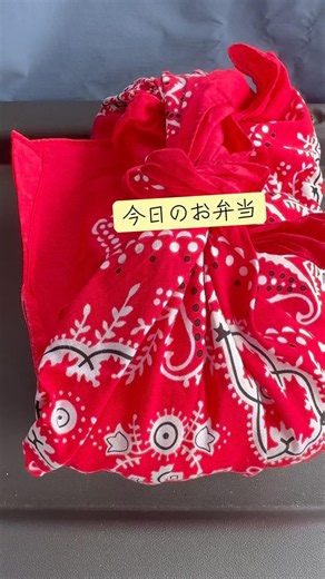 これで十分 #お弁当 #ランチ弁当 #手作りお弁当
