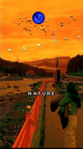 Take Me Home, Country Roads | Stunning American Nature Beauty